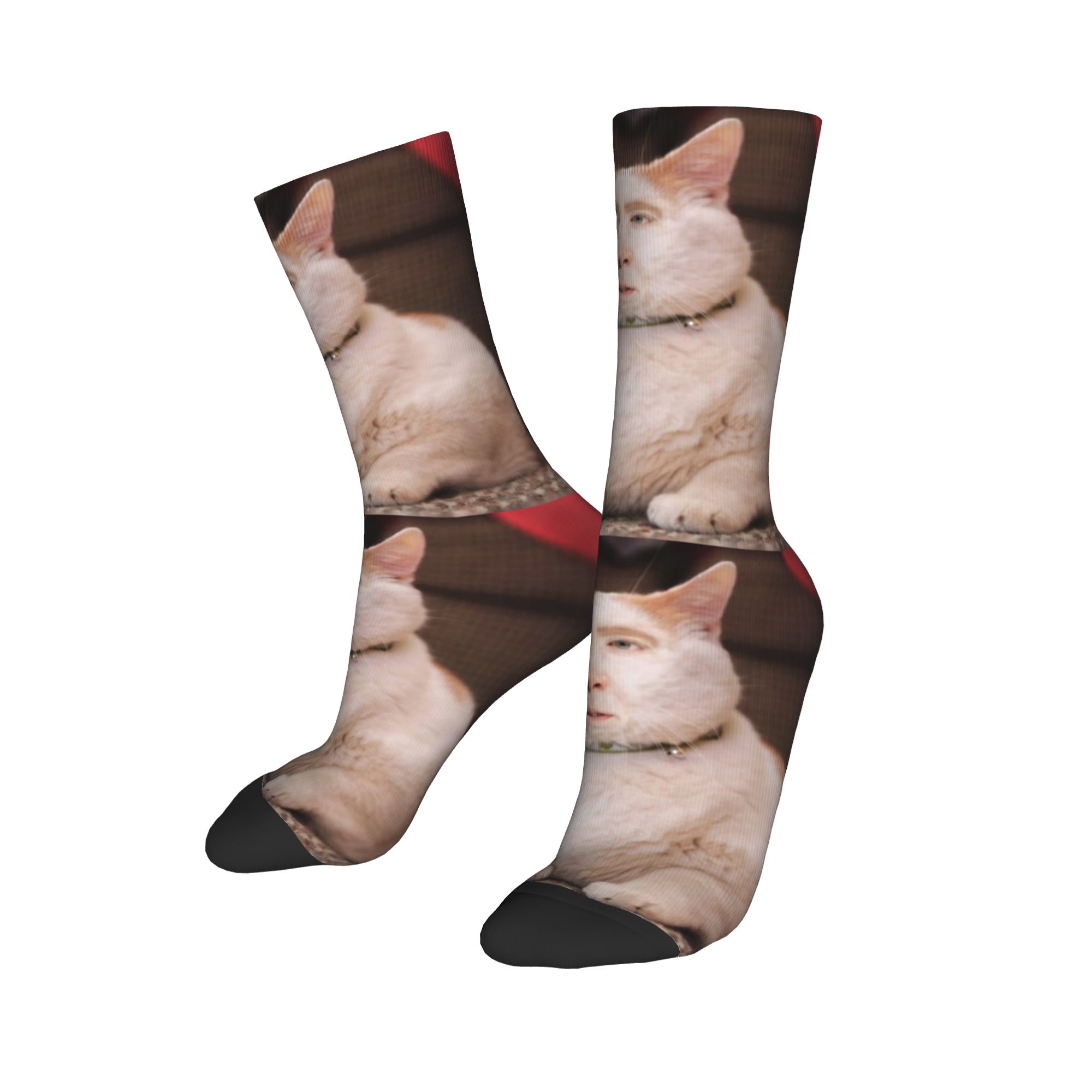 Custom Nicolas Cage Cat Meme M - Dress Sock Men 评论和价格